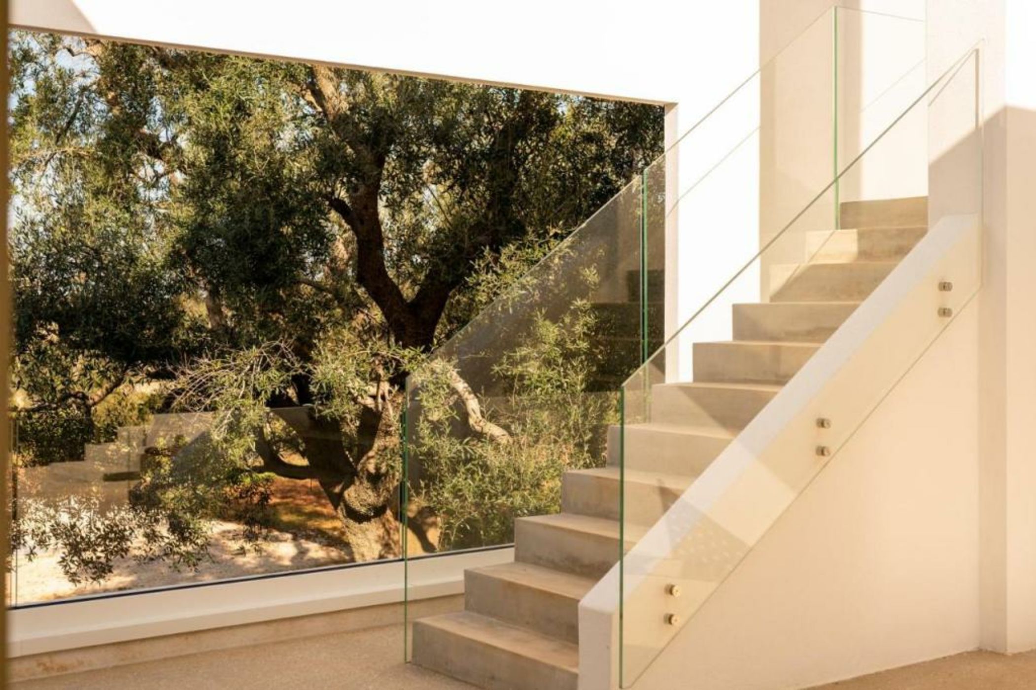 Botanico Villa & Suites