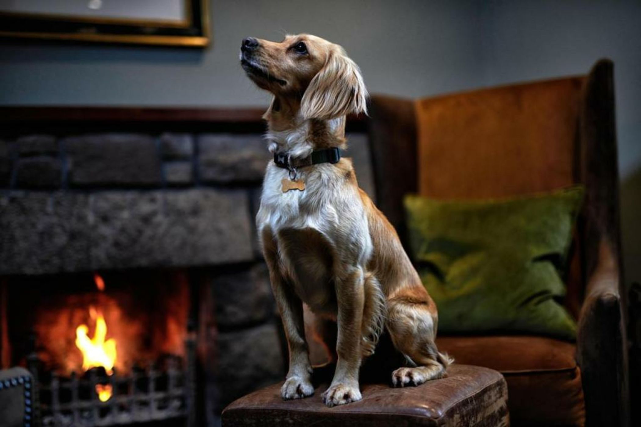 Loch Fyne Hotel & Spa