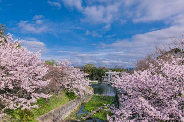 Kyoto Nanzenji Ryokan Yachiyo Established in 1915