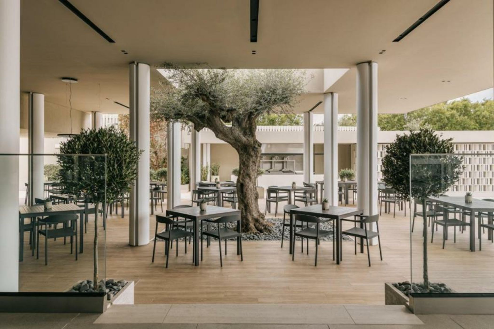 Divani Apollon Palace & Thalasso