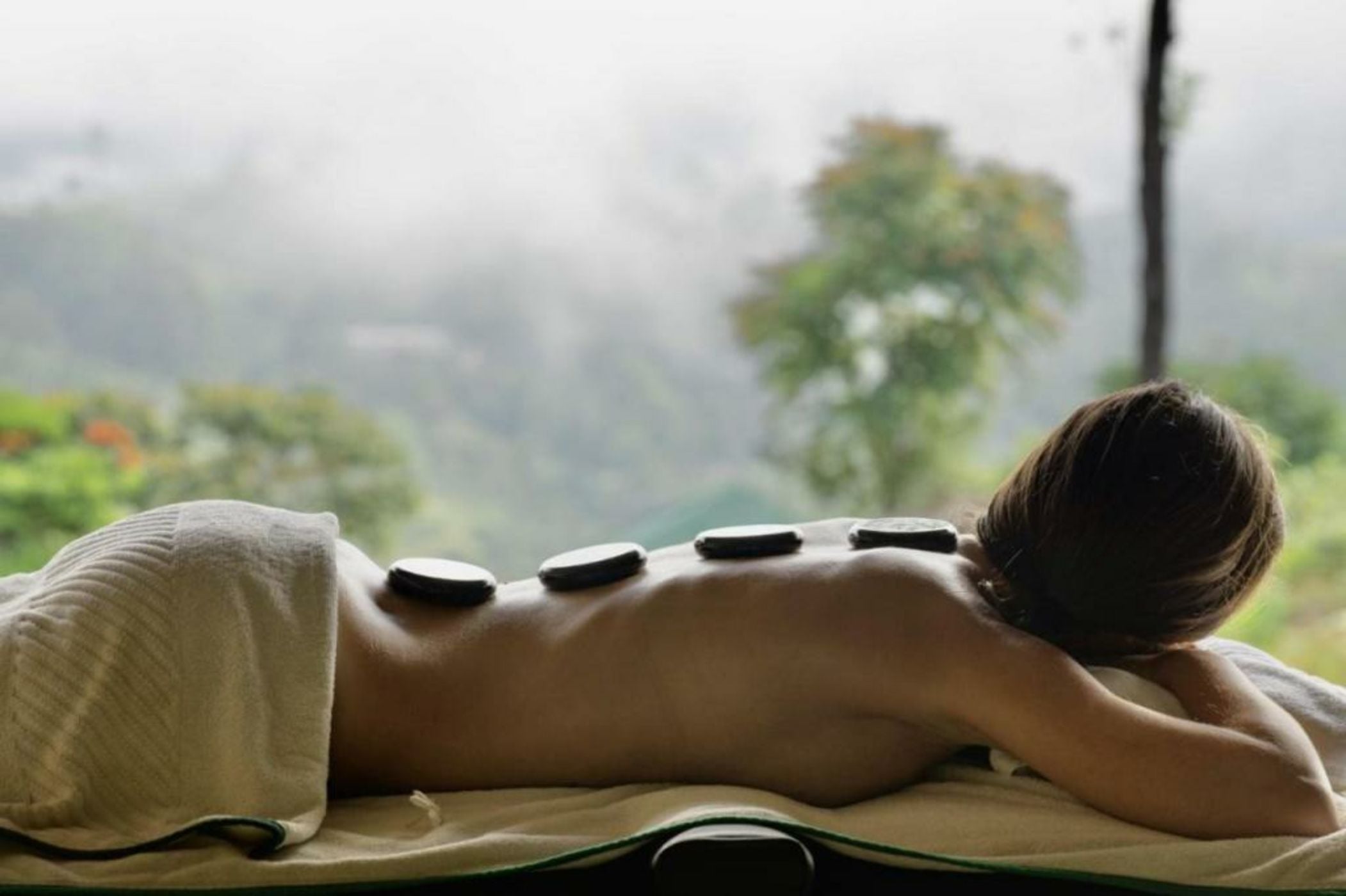 Madulkelle Tea and Eco Lodge