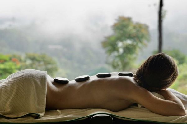 Madulkelle Tea and Eco Lodge