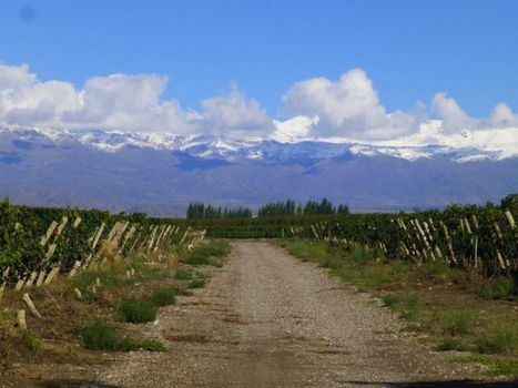 Casa de Huéspedes La Azul