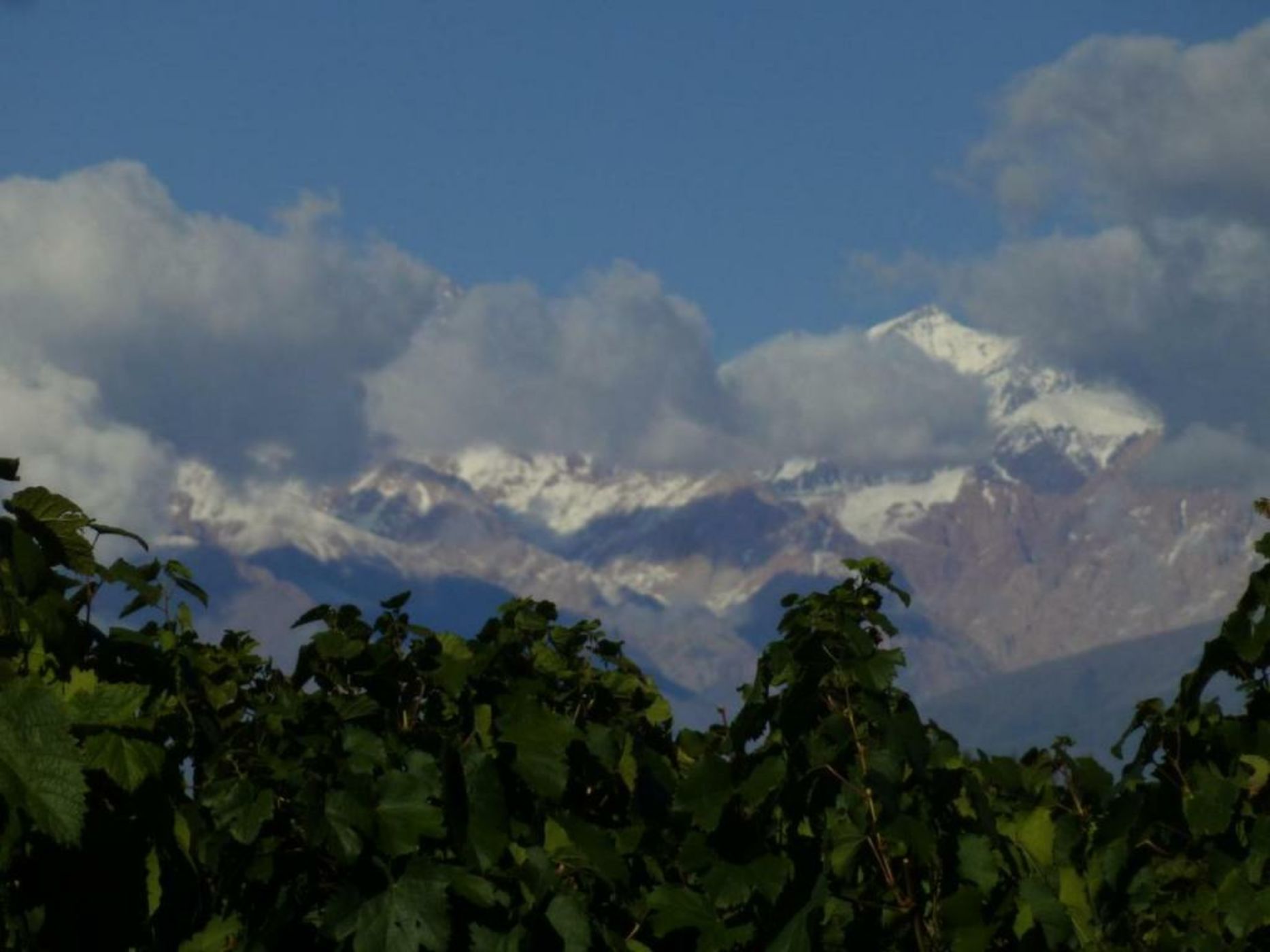 Casa de Huéspedes La Azul