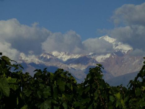 Casa de Huéspedes La Azul
