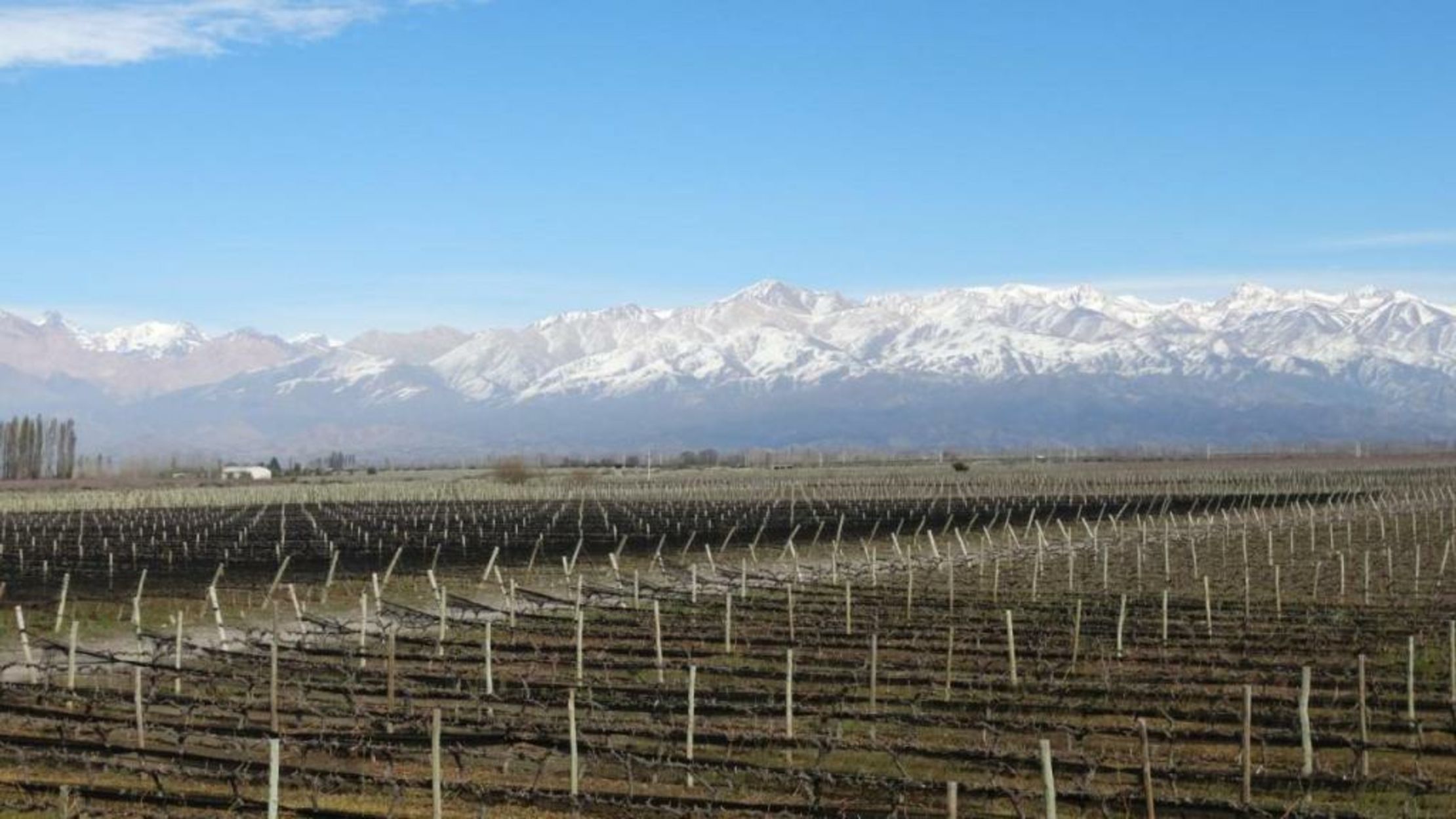 Casa de Huéspedes La Azul