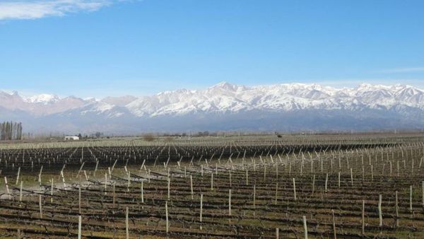Casa de Huéspedes La Azul