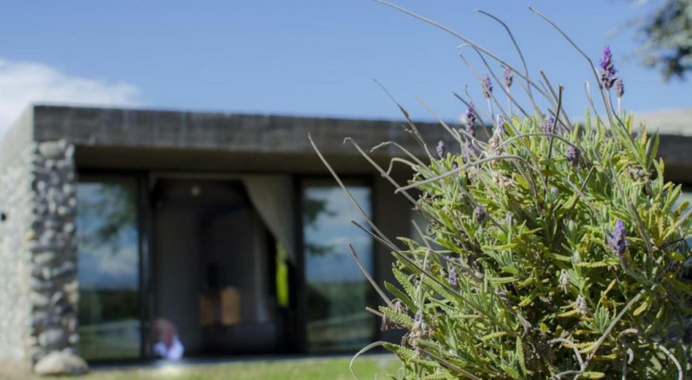 Casa de Huéspedes La Azul