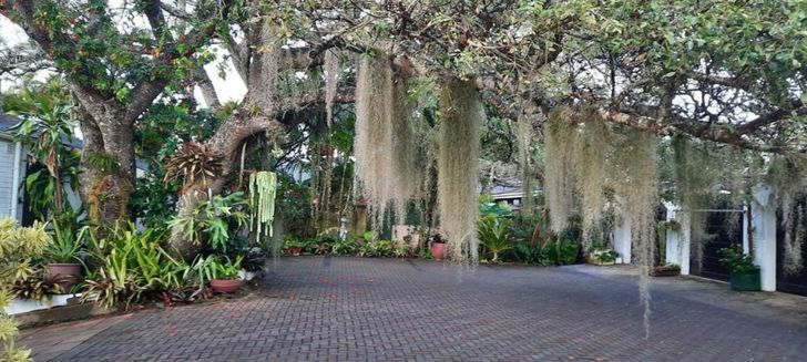 St. Lucia Wetlands Guest House