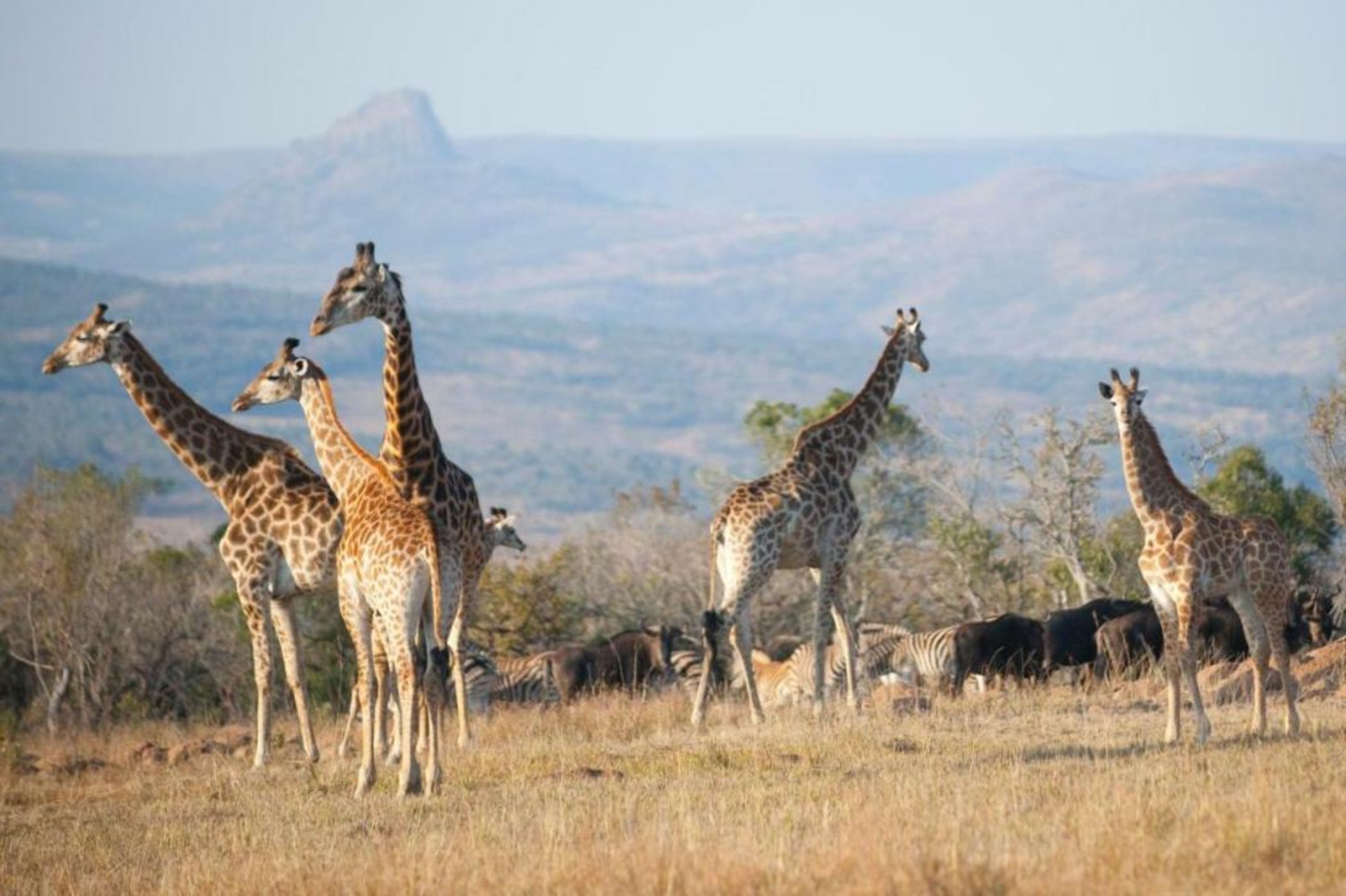 Fugitives Drift Lodge