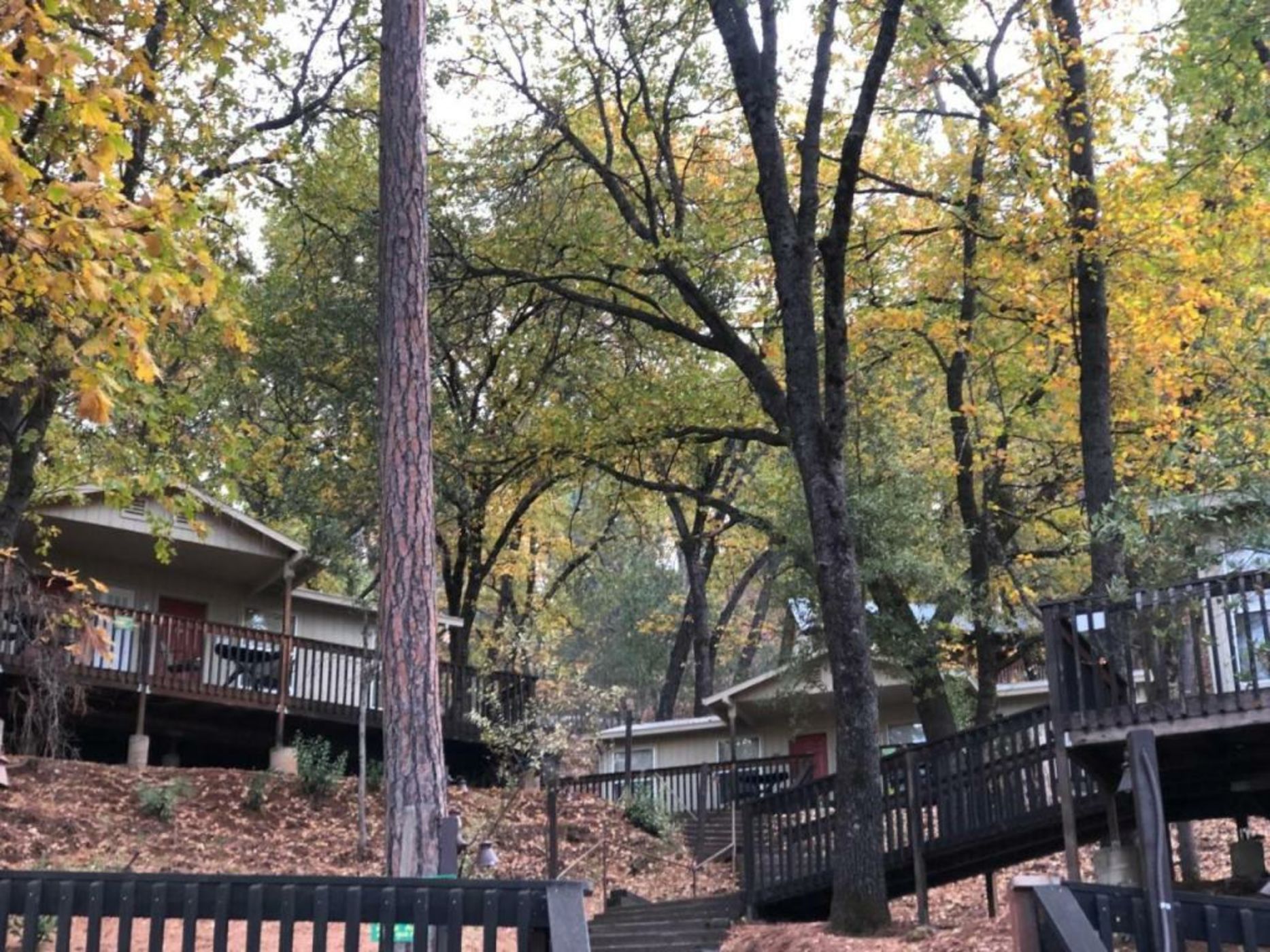 Yosemite Bug Rustic Mountain Resort