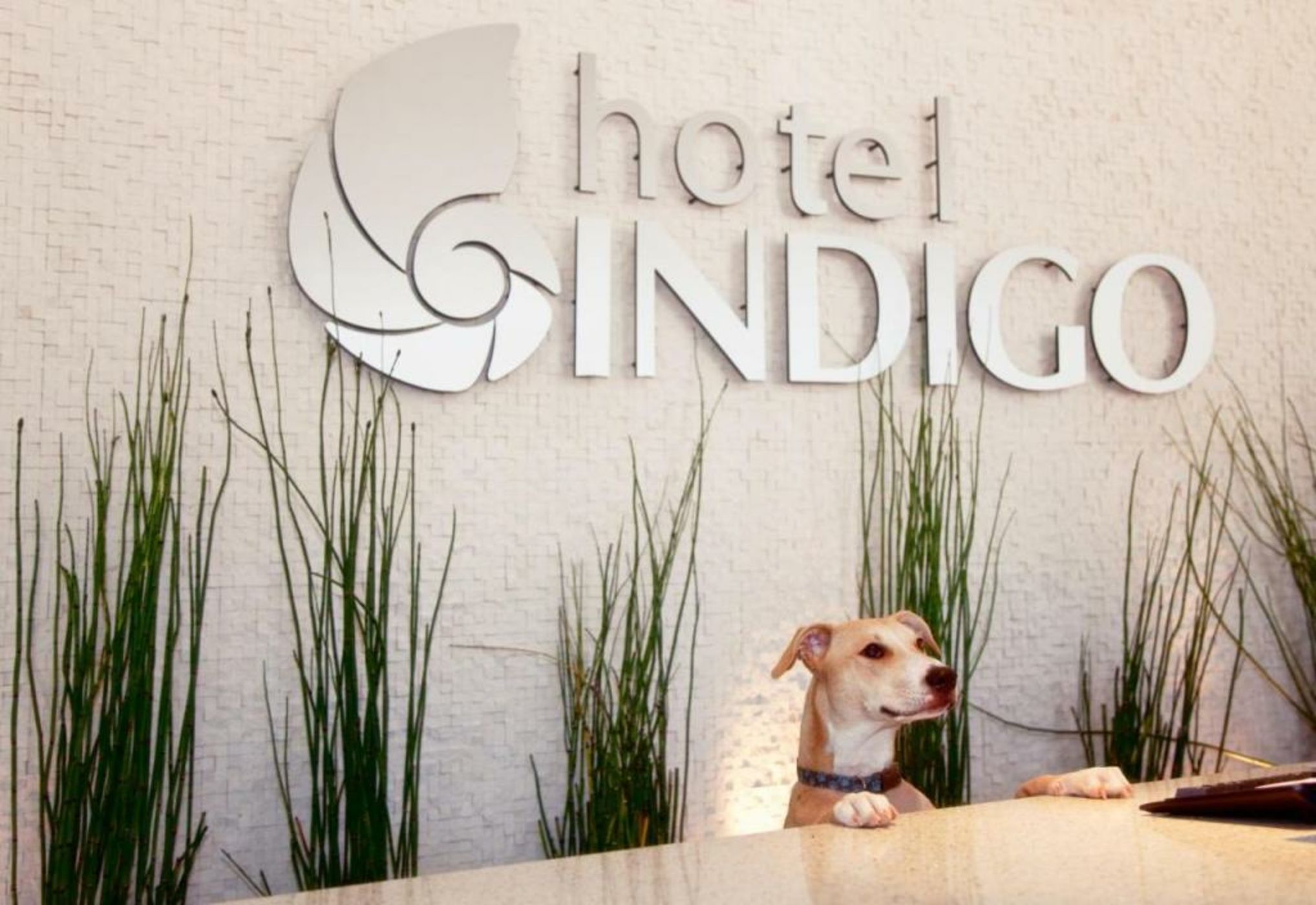 Hotel Indigo San Diego - Gaslamp Quarter by IHG