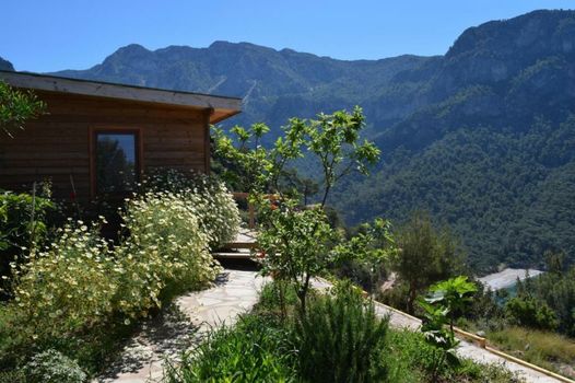 Kabak Avalon Bungalows