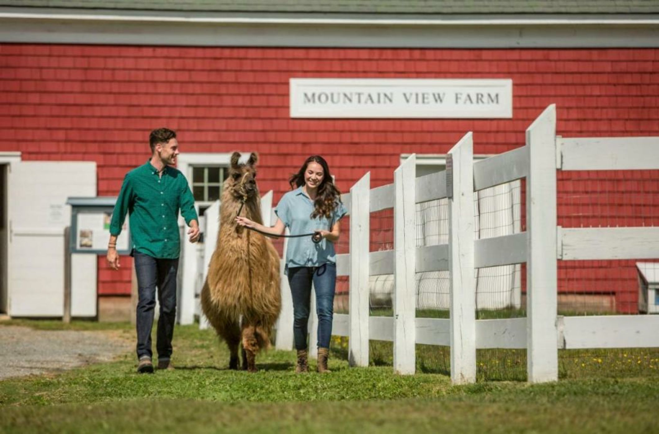 Mountain View Grand Resort & Spa