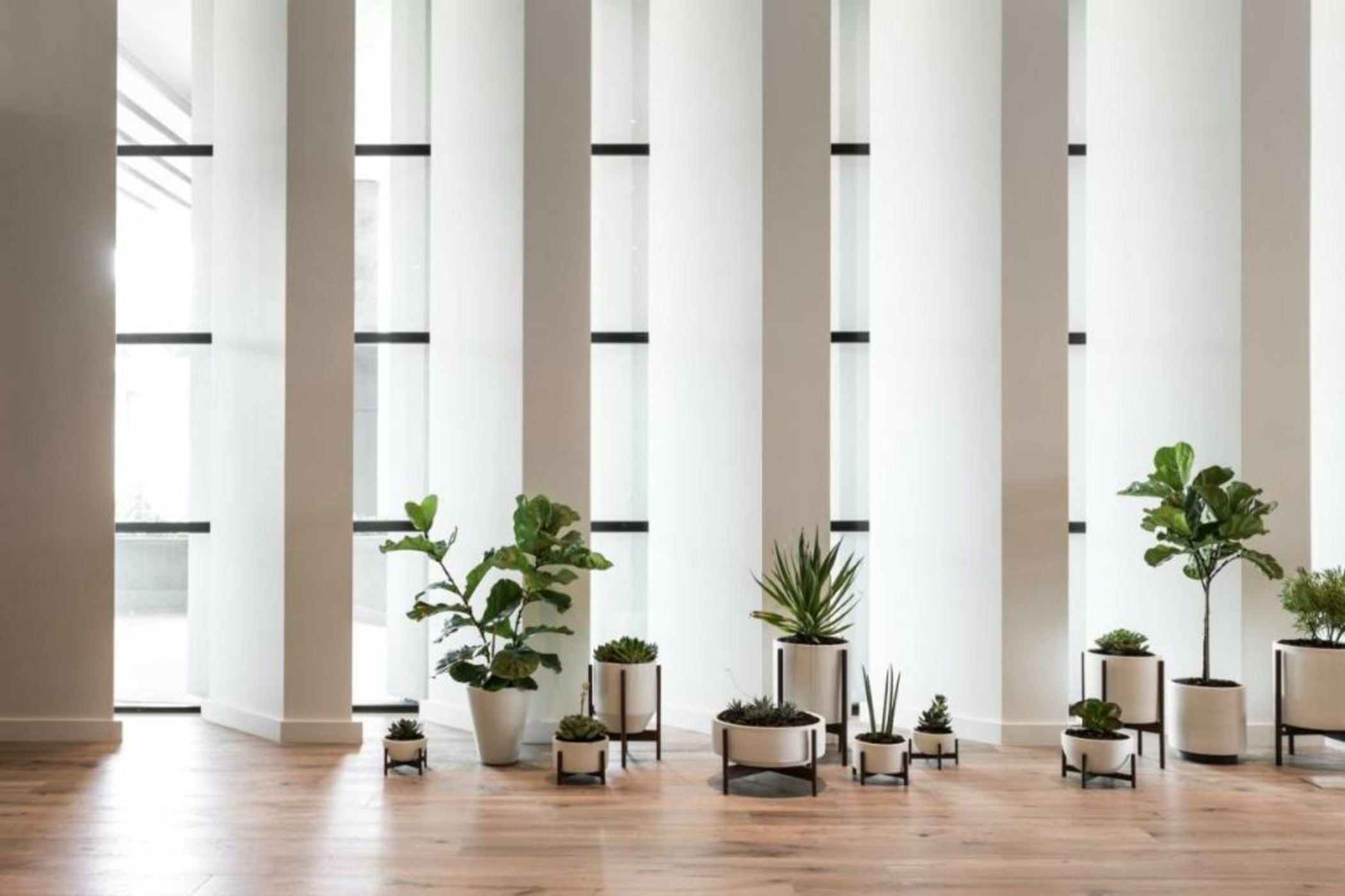 Kimpton Everly Hotel Hollywood by IHG