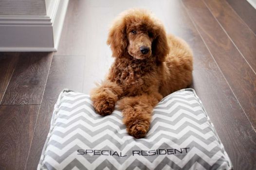 WestHouse Hotel New York