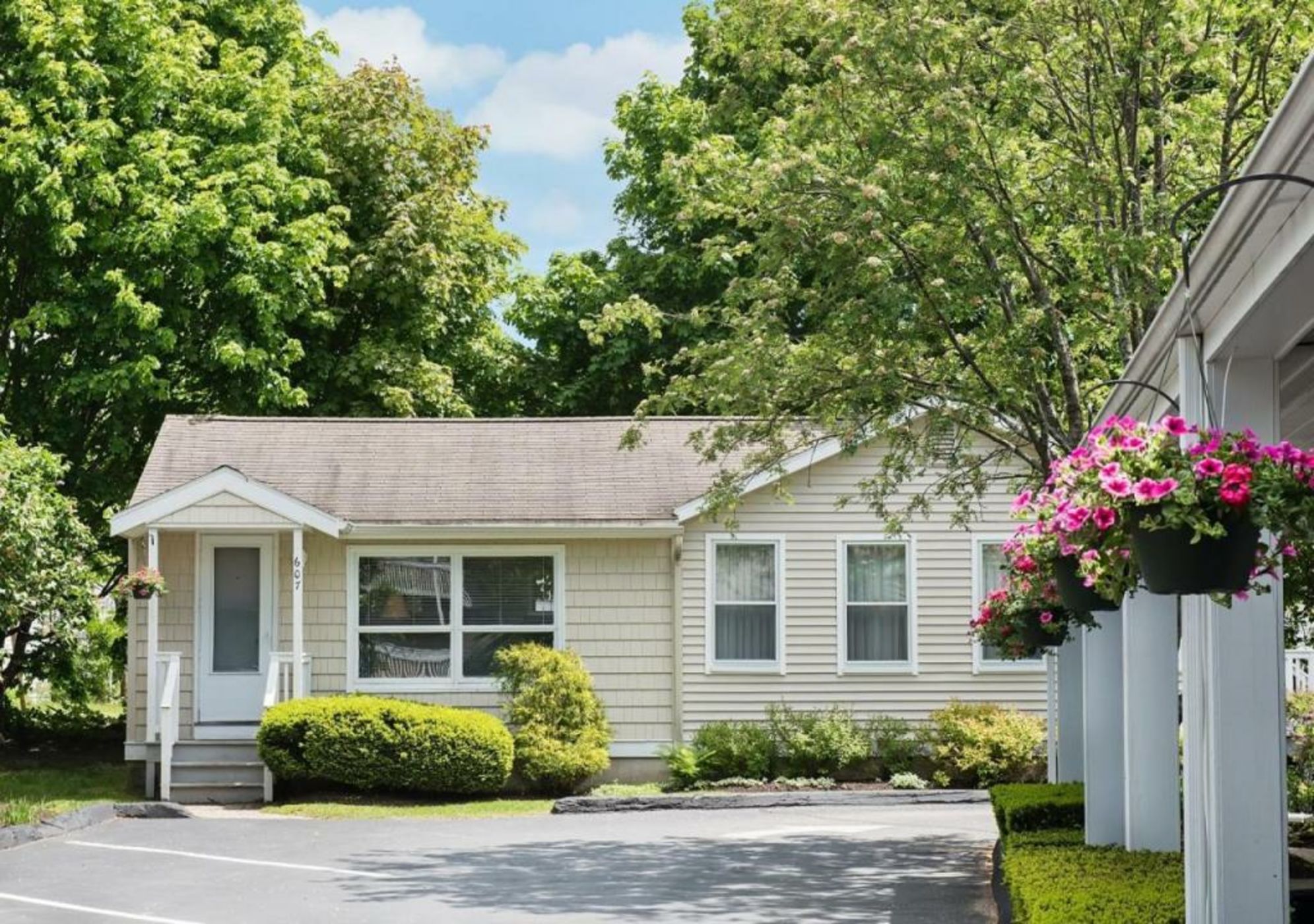 Anchorage by the Sea