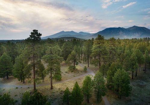 Little America Hotel Flagstaff
