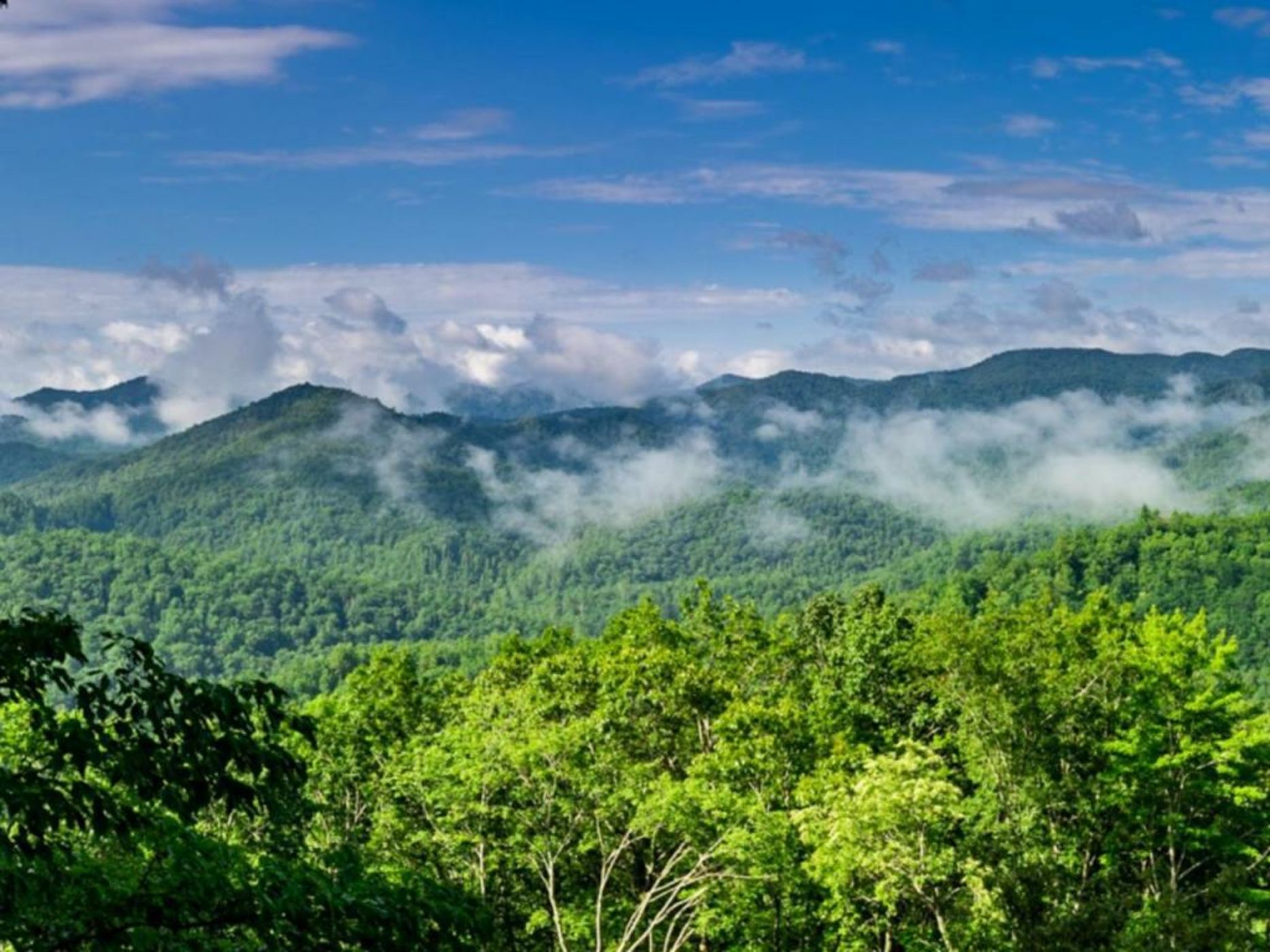 Snowbird Mountain Lodge - All-Inclusive Adventure