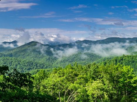 Snowbird Mountain Lodge - All-Inclusive Adventure