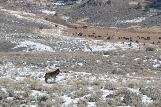 The Rusty Parrot Lodge and Spa