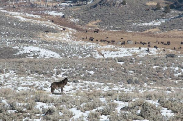 The Rusty Parrot Lodge and Spa