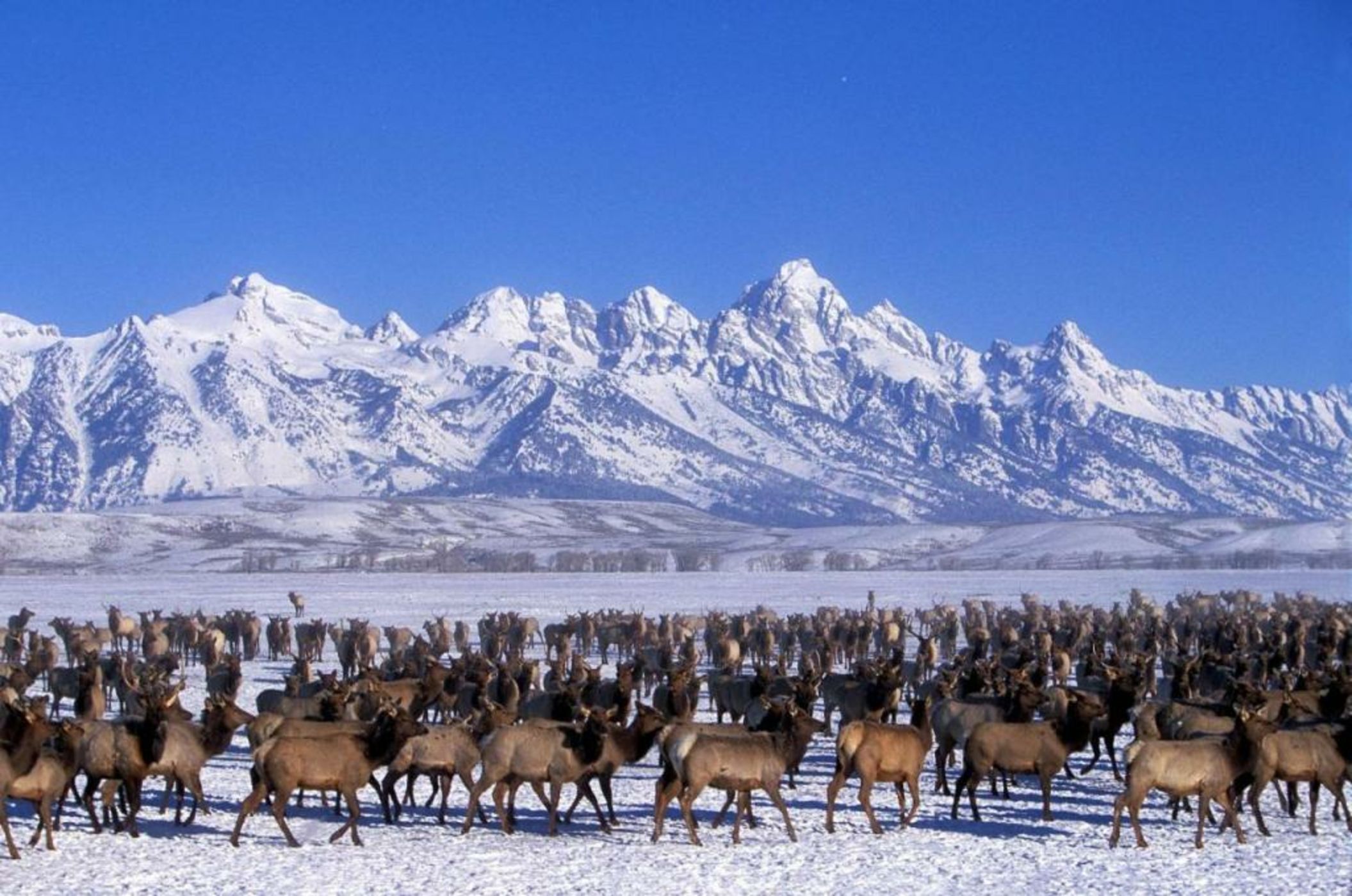 The Rusty Parrot Lodge and Spa