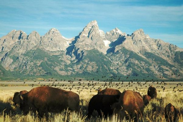 The Rusty Parrot Lodge and Spa