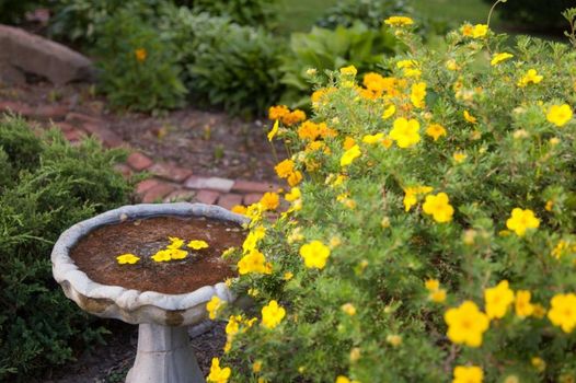 Beech Tree Inn and Cottage