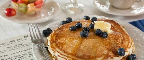 Beech Tree Inn and Cottage