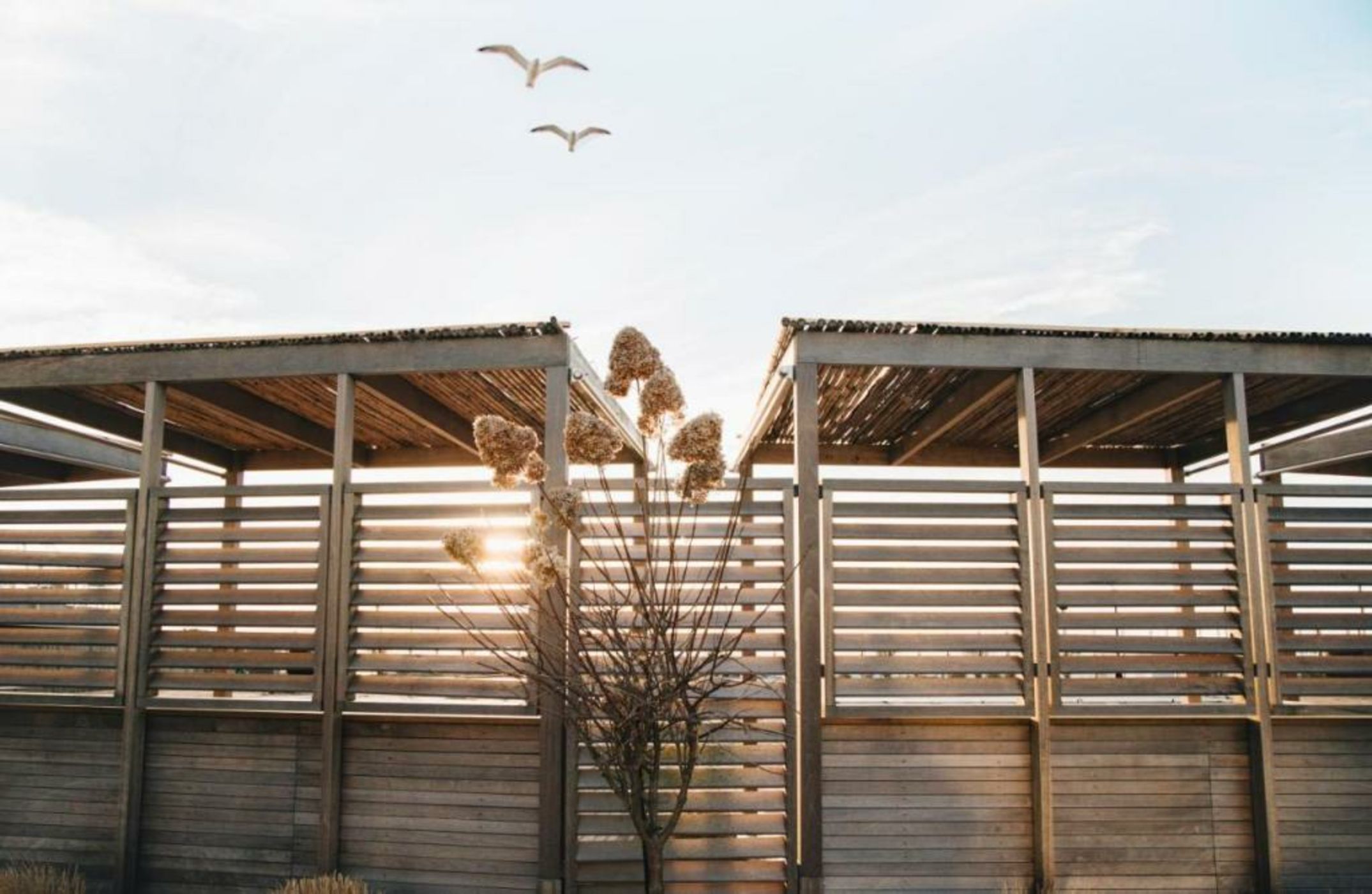 Newport Harbor Island Resort