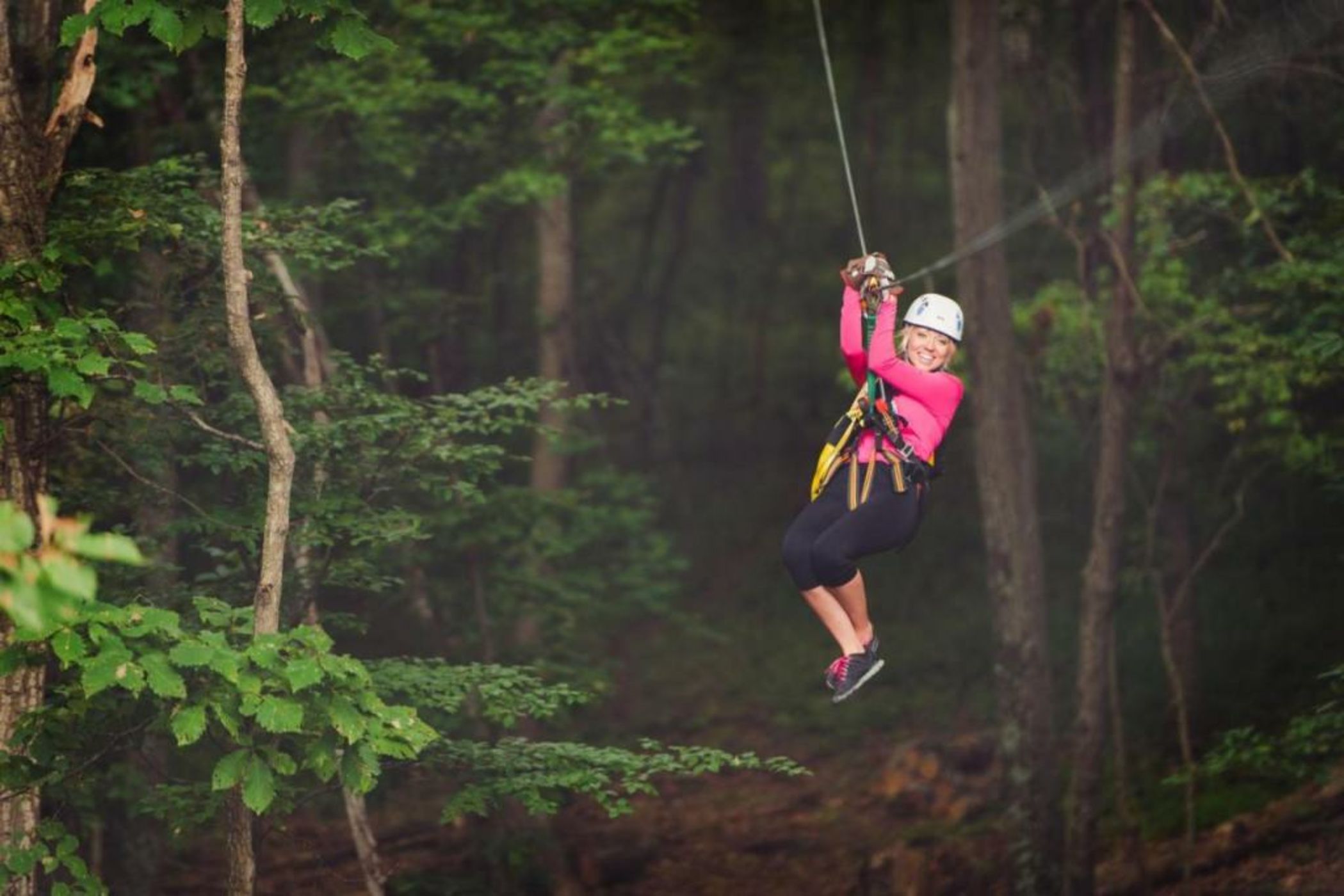 Salamander Resort and Spa