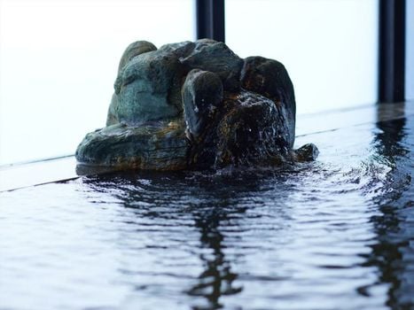 Kyoto Hot Spring Hatoya Zuihokaku Hotel