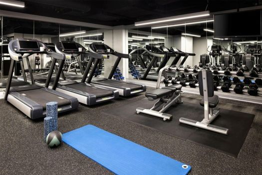 The Lofton Hotel Minneapolis, Tapestry Collection by Hilton