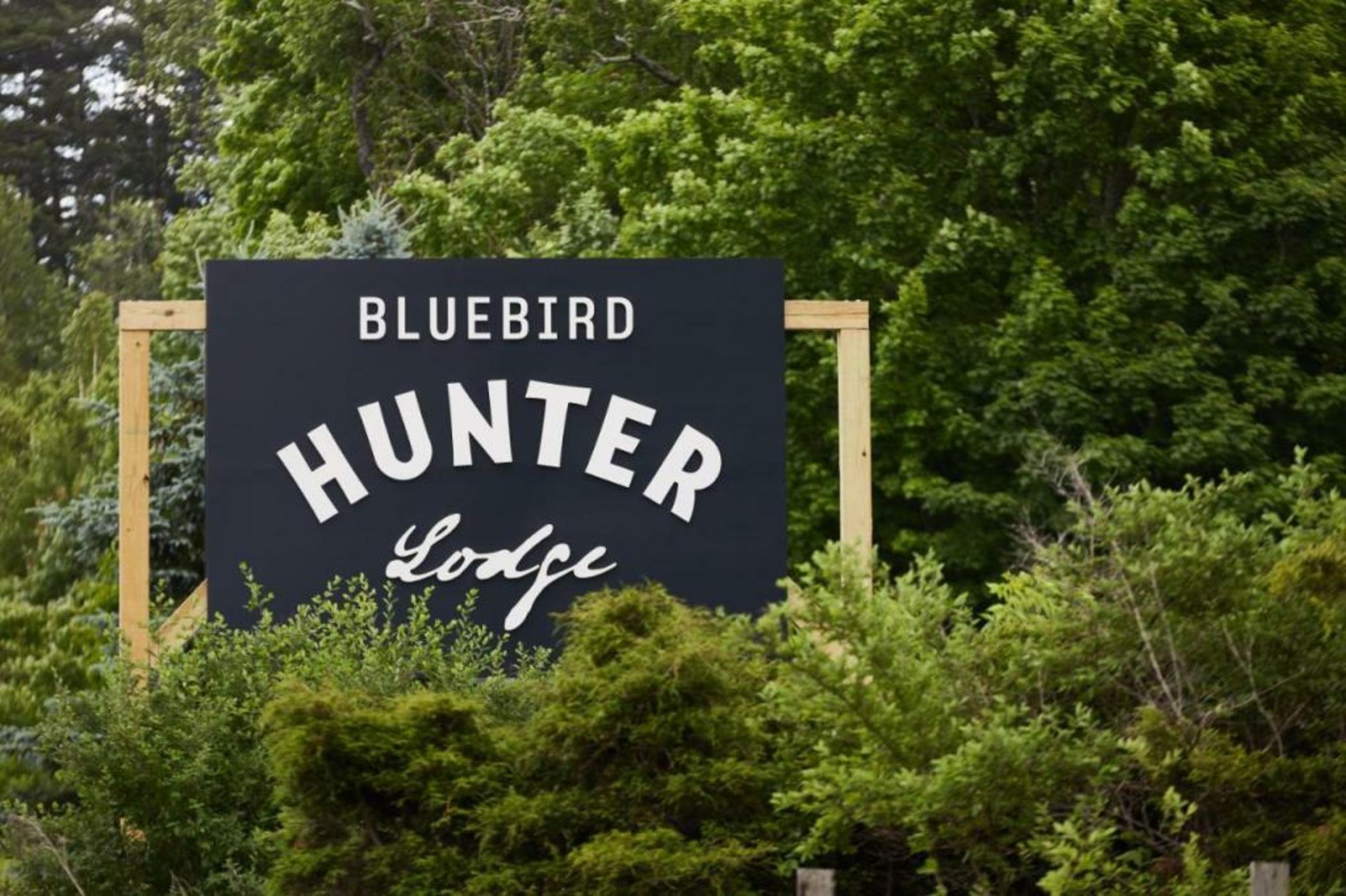 Hunter Lodge, a Bluebird by Lark
