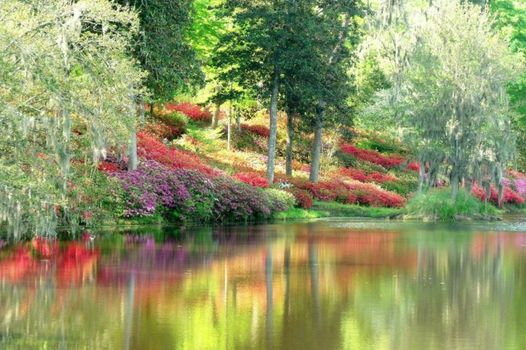 The Inn at Middleton Place