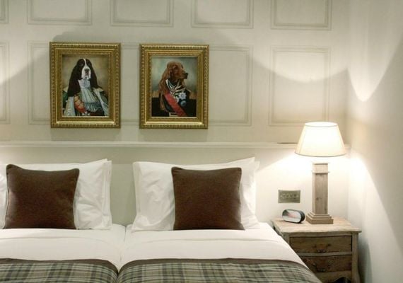 The Hayden Pub & Rooms