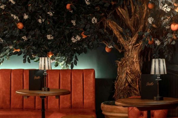 The Brook Green Hotel