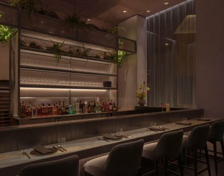 Salamander Washington DC