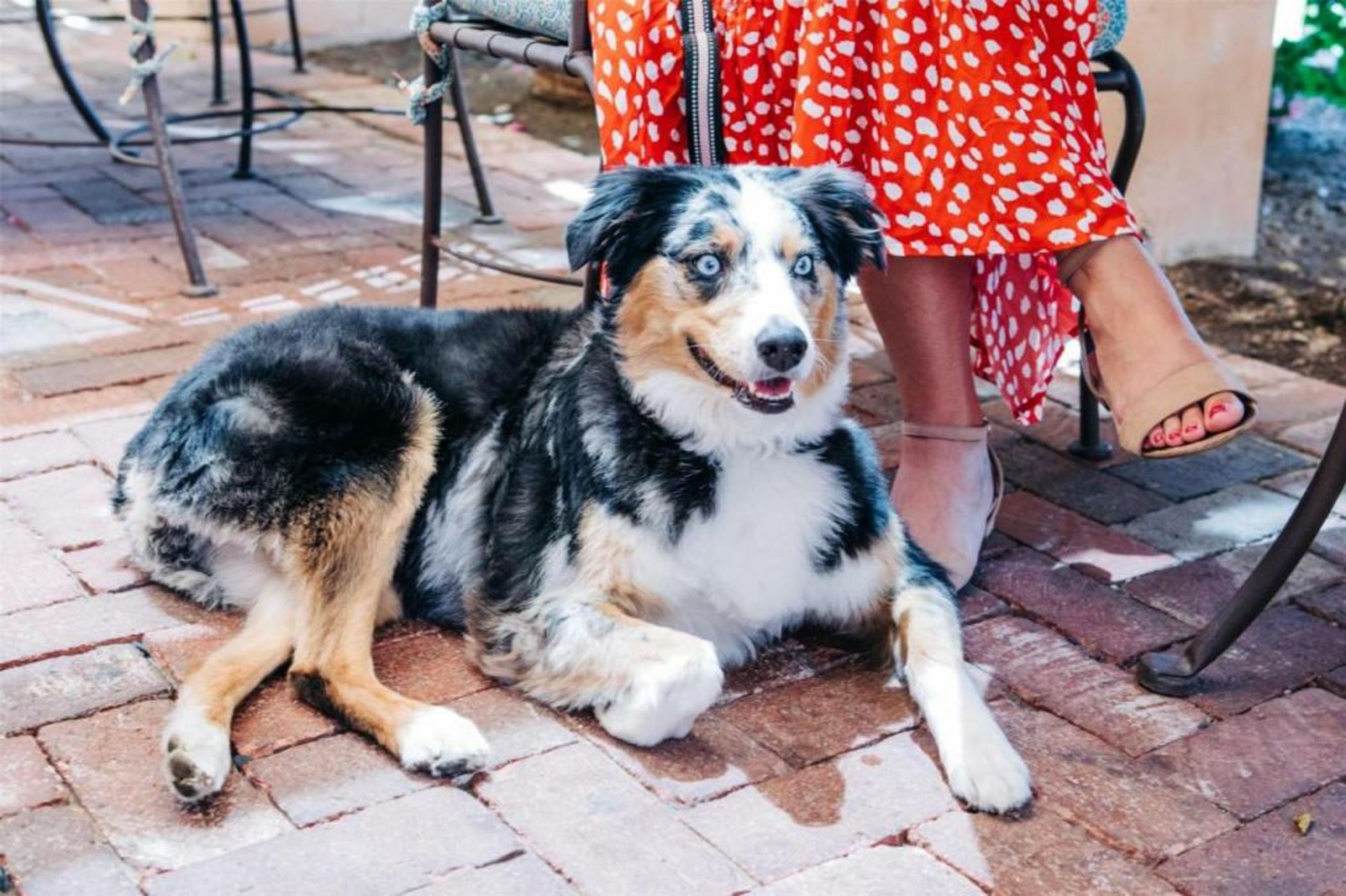 Royal Palms Resort and Spa, part of Hyatt