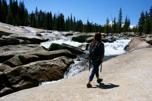 Evergreen Lodge at Yosemite