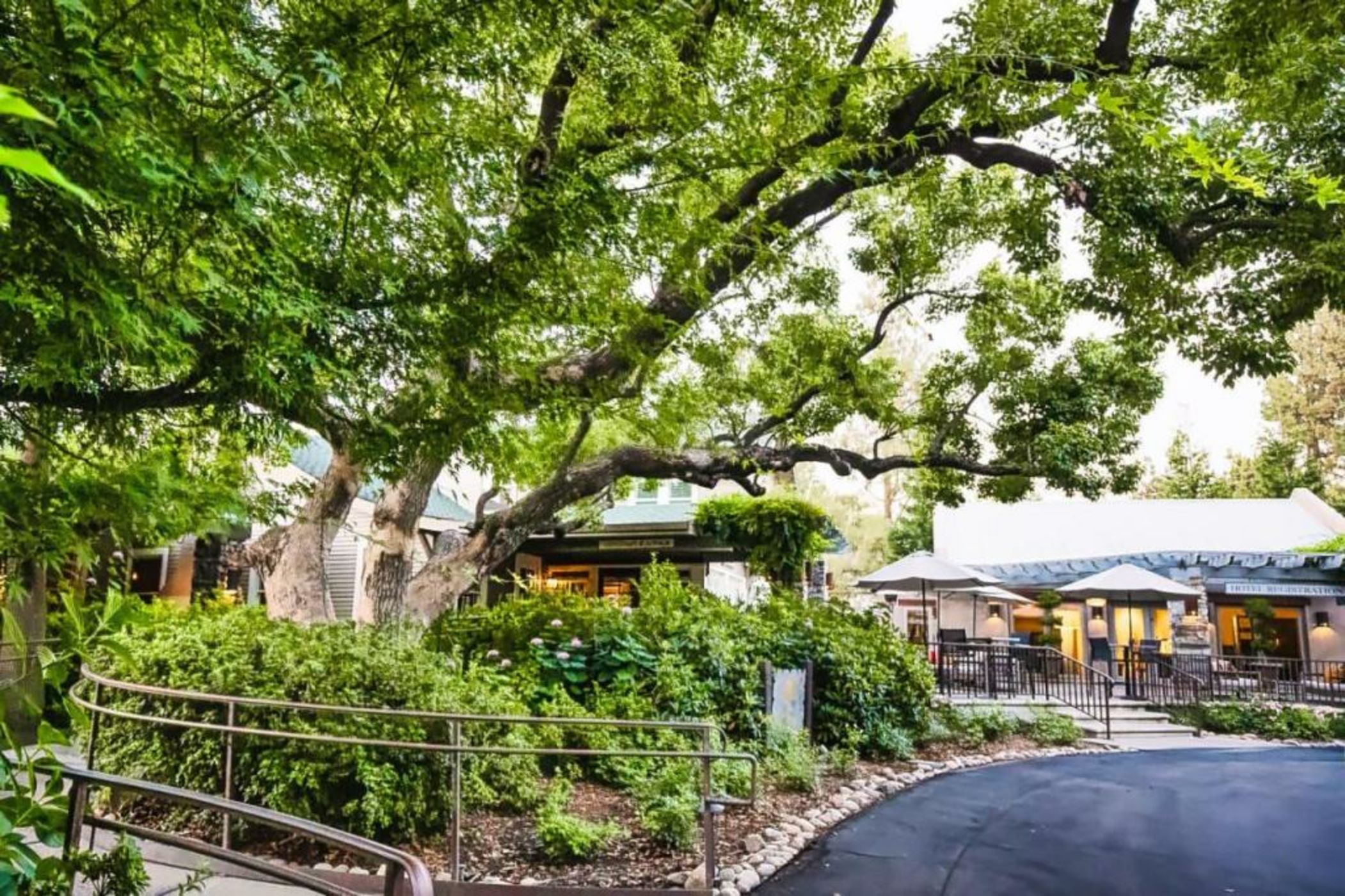 Appellation Lodi - Wine & Roses Resort and Spa