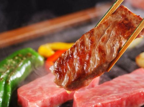 Kinosaki Onsen Nishimuraya Hotel Shogetsutei