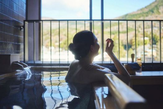 Hotel Indigo Hakone Gora by IHG