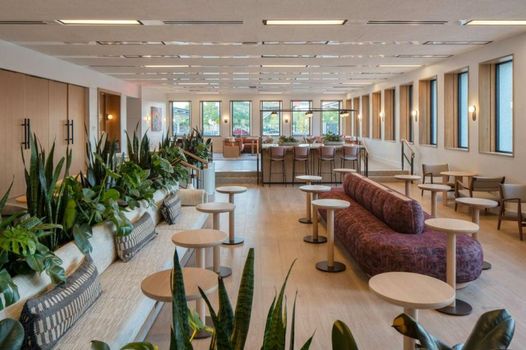 Hotel Marcel New Haven, Tapestry Collection By Hilton