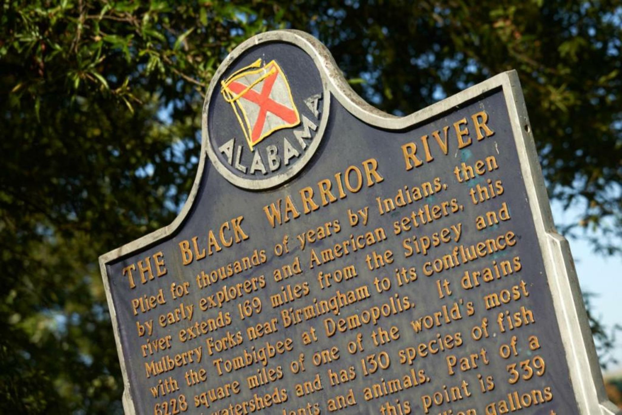 Hotel Indigo Tuscaloosa Downtown by IHG