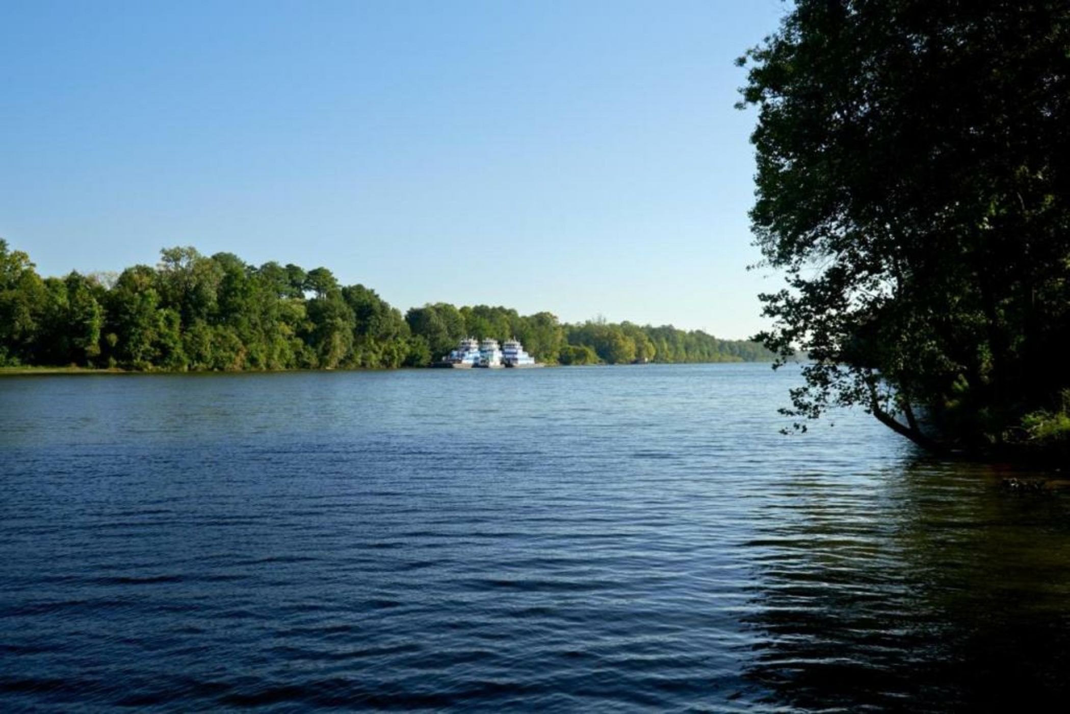 Hotel Indigo Tuscaloosa Downtown by IHG