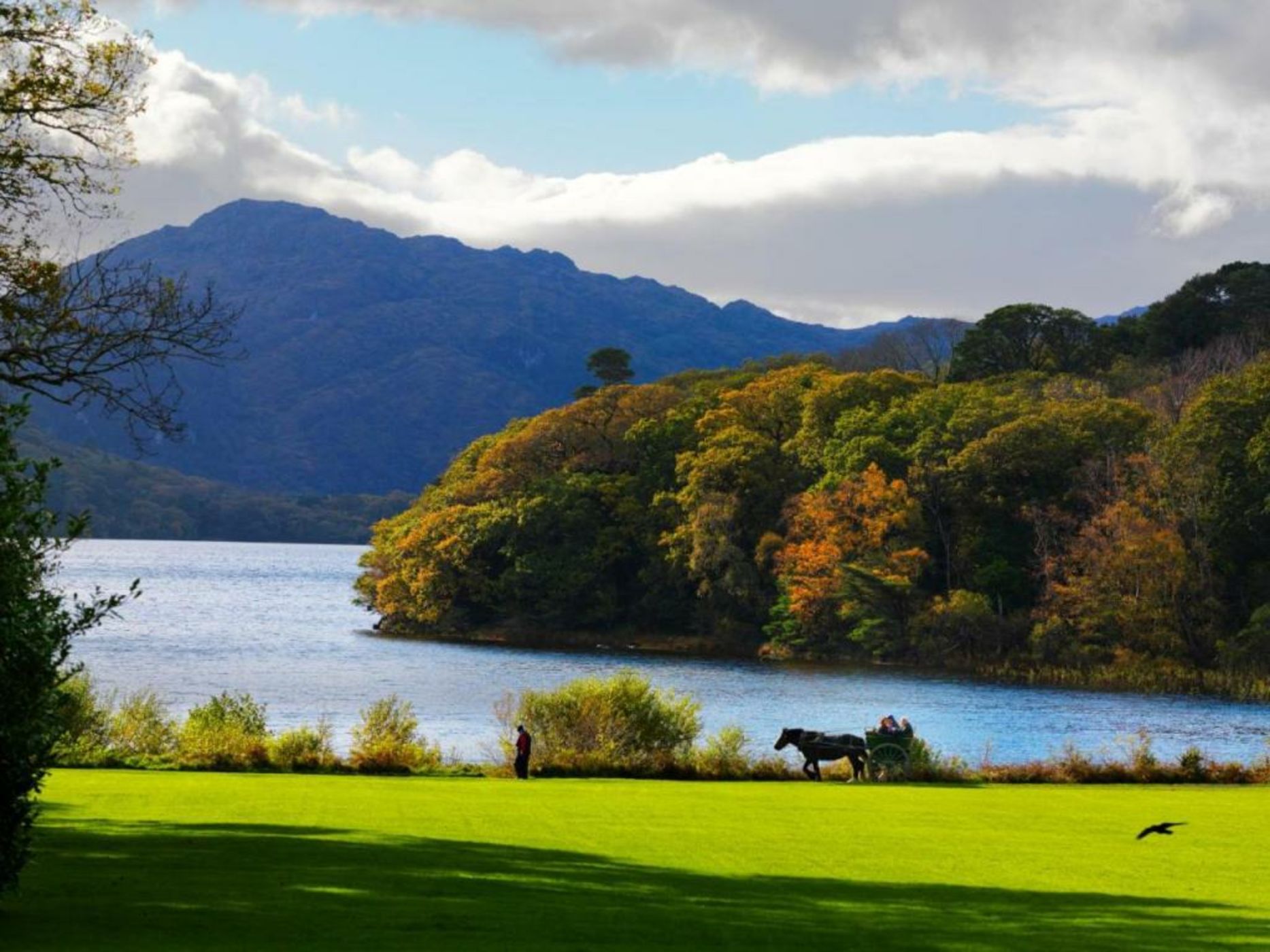The Killarney Park