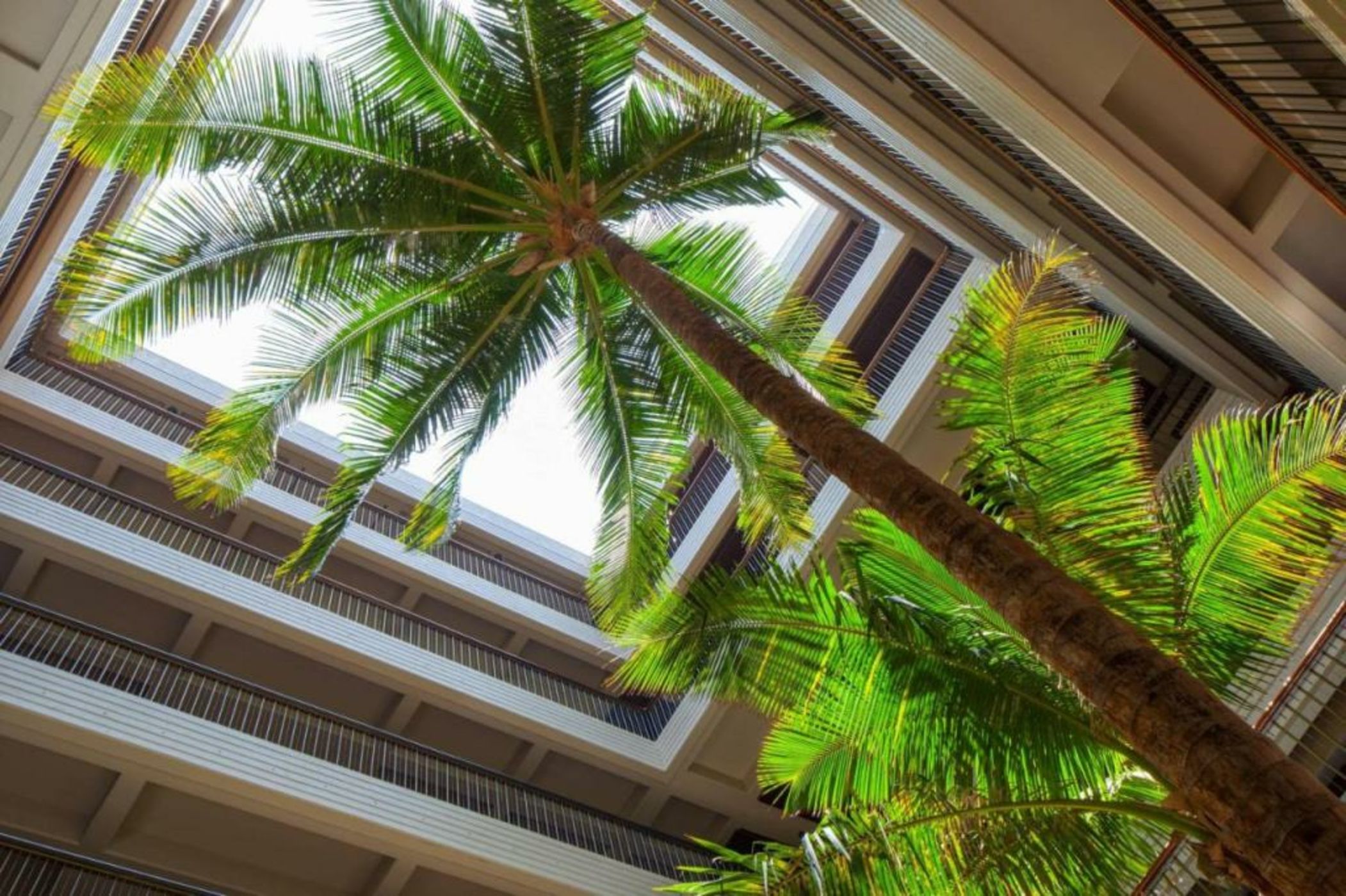 Mauna Kea Beach Hotel, Autograph Collection