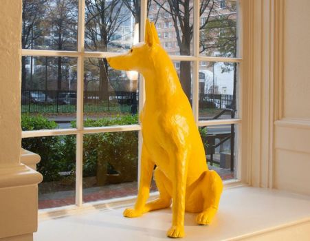 Hotel Indigo Atlanta Midtown by IHG